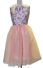C4 - Blush of Dawn Dress