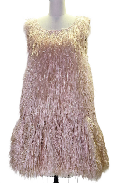 Flare Champagne Feather Dress